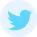 分享到Twitter